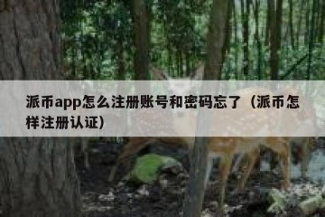 派币app怎么注册账号和密码忘了（派币怎样注册认证）
