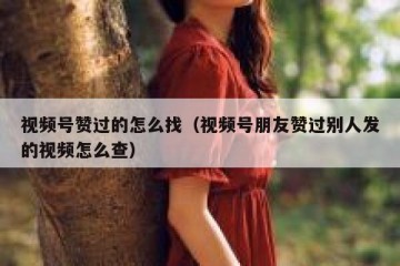 视频号赞过的怎么找（视频号朋友赞过别人发的视频怎么查）