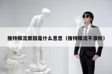 推特限流原因是什么意思（推特限流不涨粉）