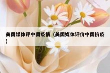 美国媒体评中国疫情（美国媒体评价中国抗疫）
