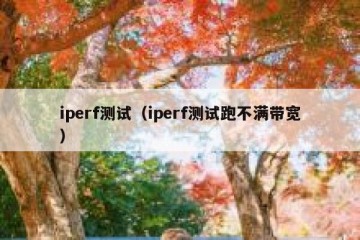 iperf测试（iperf测试跑不满带宽）