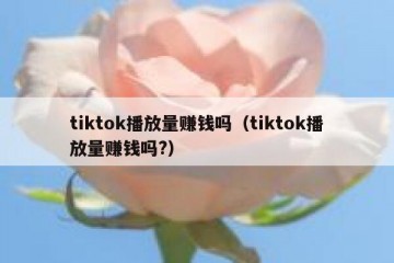 tiktok播放量赚钱吗（tiktok播放量赚钱吗?）