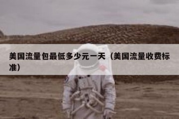美国流量包最低多少元一天（美国流量收费标准）