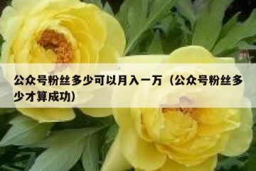 公众号粉丝多少可以月入一万（公众号粉丝多少才算成功）