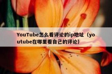 YouTube怎么看评论的ip地址（youtube在哪里看自己的评论）