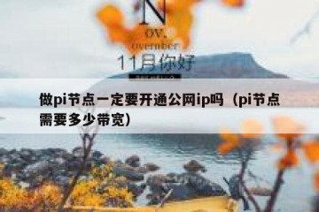 做pi节点一定要开通公网ip吗（pi节点需要多少带宽）