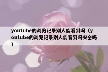 youtube的浏览记录别人能看到吗（youtube的浏览记录别人能看到吗安全吗）