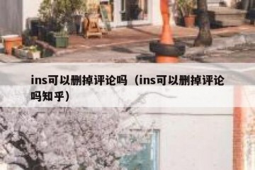 ins可以删掉评论吗（ins可以删掉评论吗知乎）