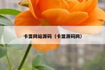 卡盟网站源码（卡盟源码网）