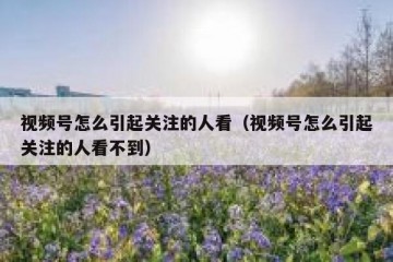 视频号怎么引起关注的人看（视频号怎么引起关注的人看不到）