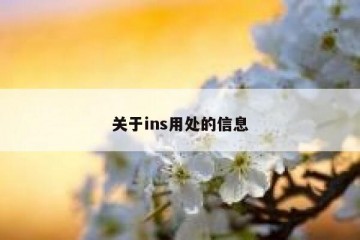 关于ins用处的信息