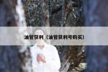 油管获利（油管获利号购买）