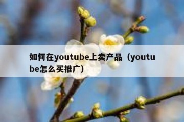 如何在youtube上卖产品（youtube怎么买推广）