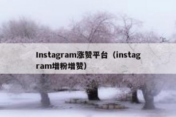 Instagram涨赞平台（instagram增粉增赞）