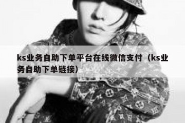 ks业务自助下单平台在线微信支付（ks业务自助下单链接）