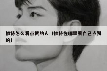 推特怎么看点赞的人（推特在哪里看自己点赞的）