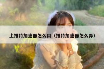 上推特加速器怎么用（推特加速器怎么弄）
