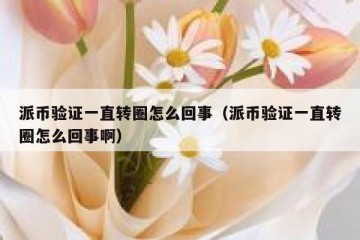 派币验证一直转圈怎么回事（派币验证一直转圈怎么回事啊）