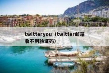 twitteryou（twitter邮箱收不到验证码）