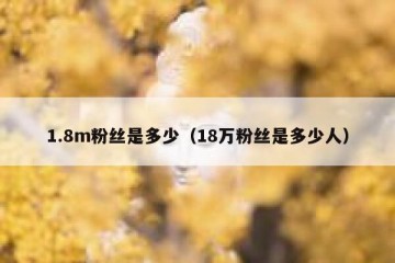 1.8m粉丝是多少（18万粉丝是多少人）