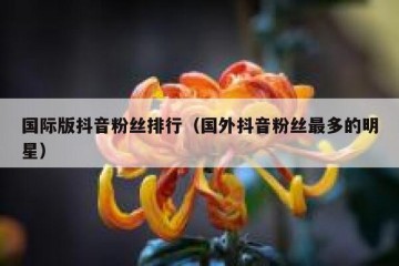 国际版抖音粉丝排行（国外抖音粉丝最多的明星）