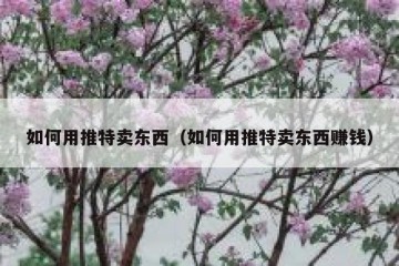 如何用推特卖东西（如何用推特卖东西赚钱）