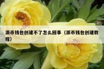 派币钱包创建不了怎么回事（派币钱包创建教程）