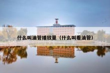 什么叫油管播放量（什么叫看油管）