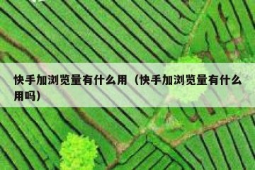 快手加浏览量有什么用（快手加浏览量有什么用吗）