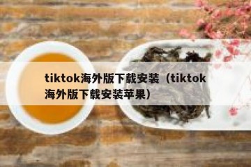 tiktok海外版下载安装（tiktok海外版下载安装苹果）