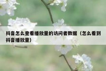 抖音怎么查看播放量的访问者数据（怎么看到抖音播放量）