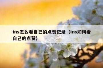 ins怎么看自己的点赞记录（ins如何看自己的点赞）