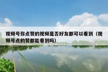 视频号你点赞的视频是否好友都可以看到（视频号点的赞都能看到吗）