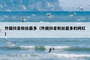 外国抖音粉丝最多（外国抖音粉丝最多的网红）