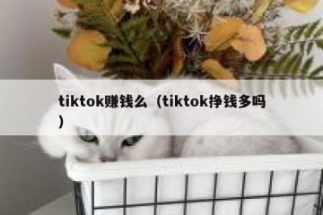 tiktok赚钱么（tiktok挣钱多吗）