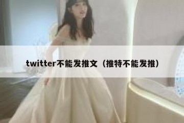 twitter不能发推文（推特不能发推）