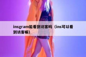 insgram能看到访客吗（ins可以看到访客嘛）