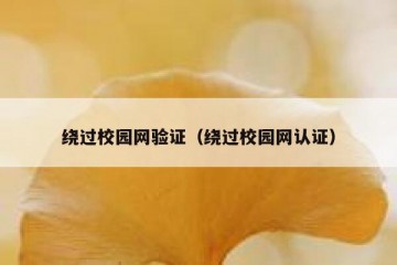 绕过校园网验证（绕过校园网认证）