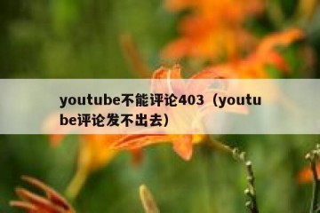 youtube不能评论403（youtube评论发不出去）