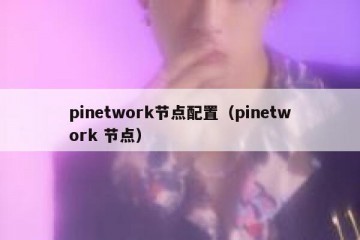 pinetwork节点配置（pinetwork 节点）