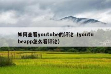 如何查看youtube的评论（youtubeapp怎么看评论）