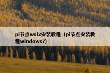 pi节点wsl2安装教程（pi节点安装教程windows7）