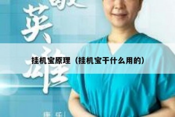 挂机宝原理（挂机宝干什么用的）