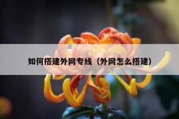 如何搭建外网专线（外网怎么搭建）