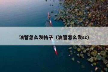 油管怎么发帖子（油管怎么发sc）