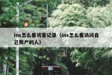 ins怎么看访客记录（ins怎么看访问自己账户的人）