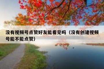 没有视频号点赞好友能看见吗（没有创建视频号能不能点赞）