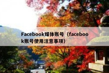 Facebook媒体账号（facebook账号使用注意事项）