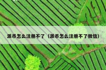 派币怎么注册不了（派币怎么注册不了微信）