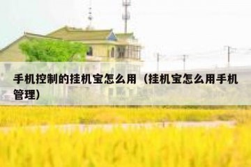 手机控制的挂机宝怎么用（挂机宝怎么用手机管理）